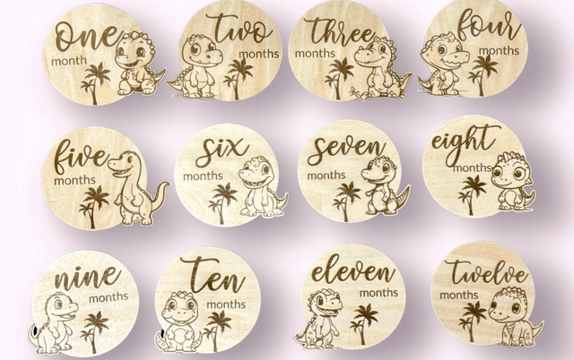 Dinosaur Baby Milestone Discs