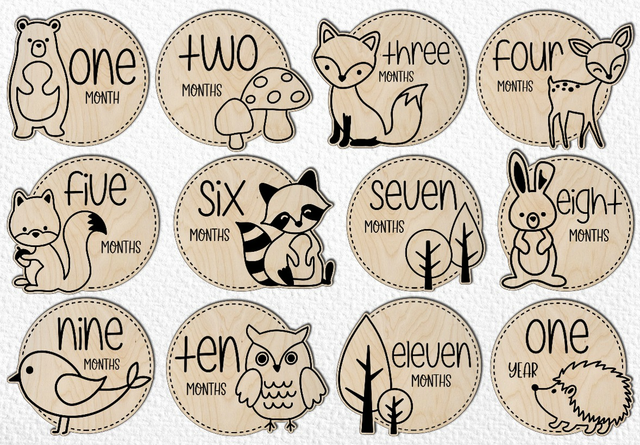 Animal Baby Milestone Discs
